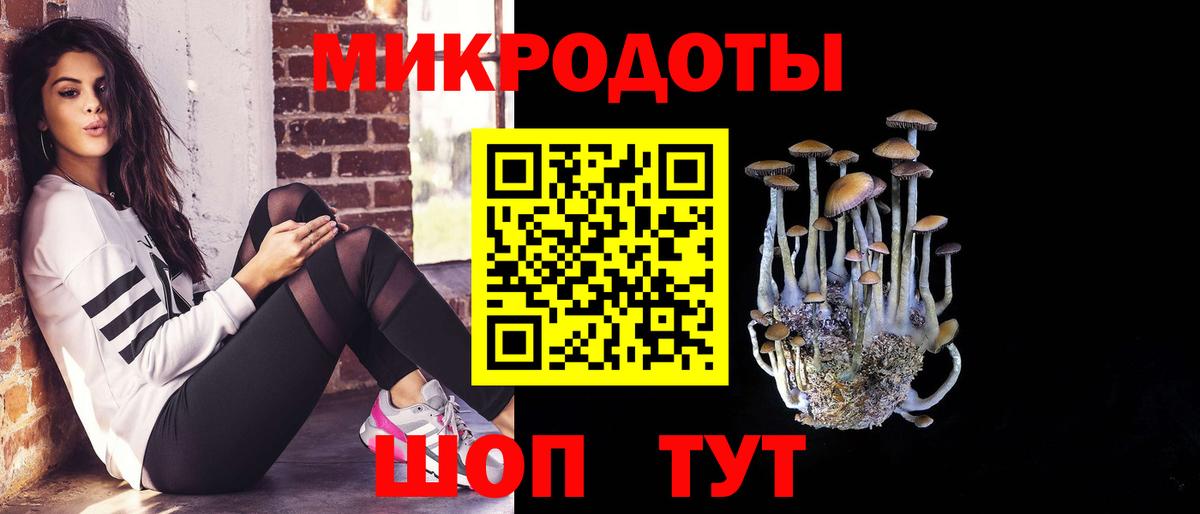 где можно купить наркотик  Галлюциногенные грибы Magic Shrooms  Рязань  Вход с VPN  Псилоцибиновые грибы GOLDEN TEACHER 